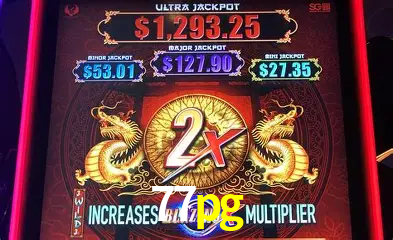 VIP Casino 77pg
